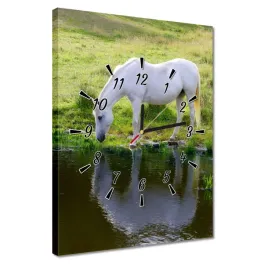 zegary-30x40-bialy-kon