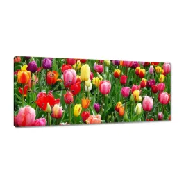 zegary-100x40-kolorowe-tulipany-na-lace
