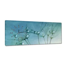 zegary-100x40-dmuchawiec-kwiat-kwiatki