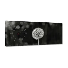 zegary-100x40-dmuchawiec-kwiat-makro