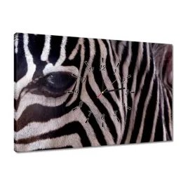zegary-60x40-makro-fotografia-zebra