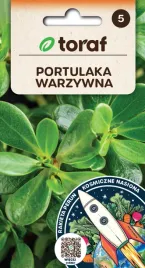portulaka-warzywna-nasiona-1g-toraf