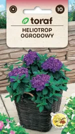 heliotrop-ogrodowy-nasiona-01g-toraf