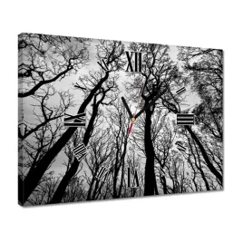 zegary-40x30-las-drzewa-widok-z-dolu