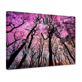 zegary-40x30-las-drzewa-widok-z-dolu