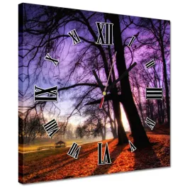 zegary-30x30-park-w-wasowie