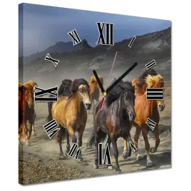 zegary-30x30-stado-dzikich-koni
