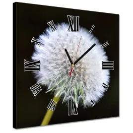 zegary-30x30-dmuchawiec-kwiat-kwiatki