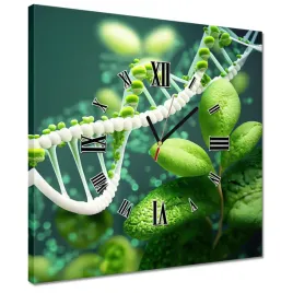 zegary-40x40-motyw-do-klasy-szkoly-biologia