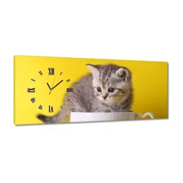 zegary-100x40-kot-kotek-koty-kicia
