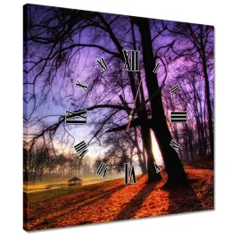 zegary-40x40-park-w-wasowie