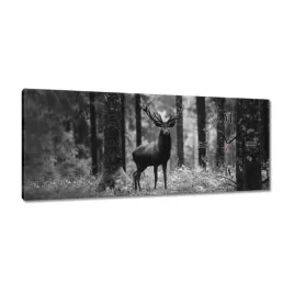 zegary-100x40-jelen-w-lesie-bandw