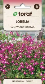lobelia-czerwona-na-balkony-i-tarasy-01g