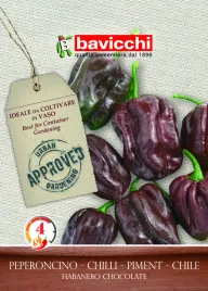 papryka-habanero-chocolate-wloskie-nasiona-bavicchi-05g