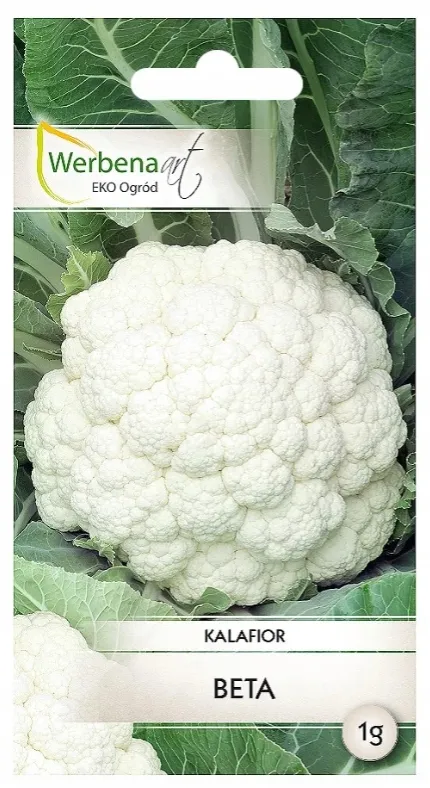 kalafior-beta-1g-werbena