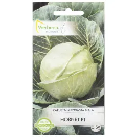 kapusta-biala-hornet-f1-05g-werbena