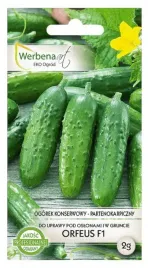 ogorek-konserwowy-orfeus-mieszaniec-f1-2g-werbena