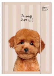 teczka-z-gumka-a4-lux-uv-puppy-sign-interdruk-rozne-wzory-zwierzeta