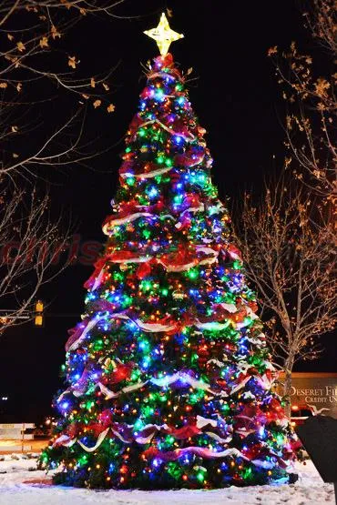 lampki-choinkowe-300-led-programator-multikolor