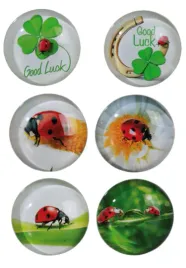 szklany-magnes-na-lodowke-szczesliwa-biedronka