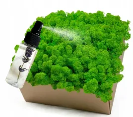 mech-odzywka-chrobotek-500-0-5kg-czysty-zielony-box-odzywka-gratis