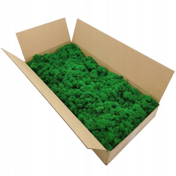 mech-chrobotek-dekoracyjny-3-kolory