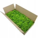 mech-chrobotek-dekoracyjny-3-kolory-marka-enchanted