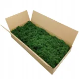 mech-chrobotek-dekoracyjny-3-kolory-forma-w-kartonie