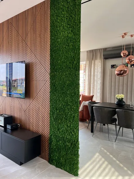 mech-chrobotek-dekoracyjny-3-kolory-stan-nowy-forma-w-kartonie