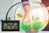 termometr-lcd-do-lodowki-z-sonda-kolor-czarny-material-tworzywo-sztuczne