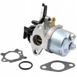 gaznik-briggs-stratton-700-750-dov-591852-793463