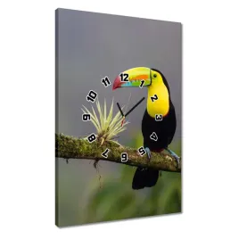zegary-40x60-ptaki-ptaszki-ptactwo
