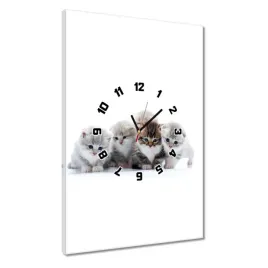 zegary-40x60-kot-kotek-koty-kicia