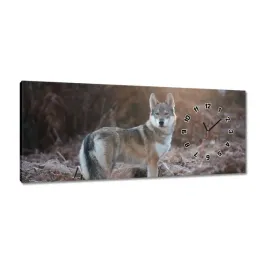 zegary-100x40-wilk-wilki-wolf