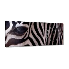 zegary-100x40-makro-fotografia-zebra