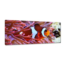 zegary-100x40-pomaranczowa-rybka-rafa