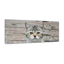 zegary-100x40-kot-kotek-koty-kicia