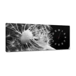 zegary-100x40-dmuchawiec-kwiat-kwiatki