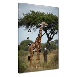 zegary-40x60-zyrafa-na-sawannie
