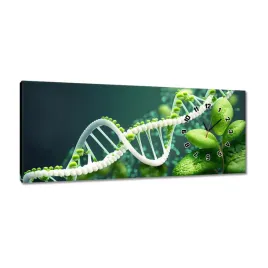 zegary-100x40-motyw-do-klasy-szkoly-biologia