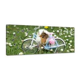 zegary-100x40-swinka-morska-na-lace