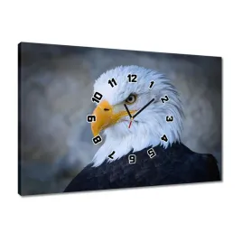 zegary-60x40-orzel-orli-wzrok-dziub