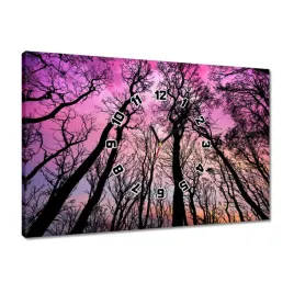 zegary-60x40-las-drzewa-widok-z-dolu