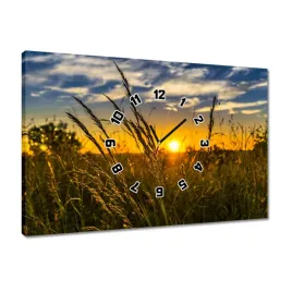 zegary-60x40-zachod-slonca-wsrod-traw