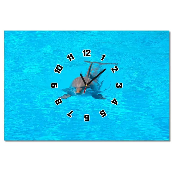 zegary-60x40-delfin-stan-nowy