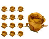 roza-glowka-olive-12-sztuk