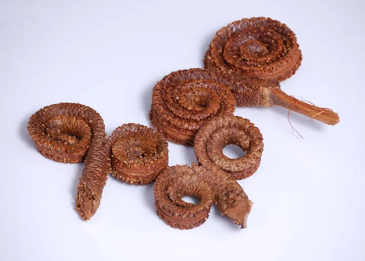 baranie-rogi-lakierowane