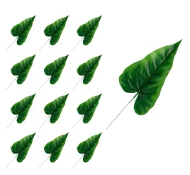 lisc-strzalka-calla-zielony-x12