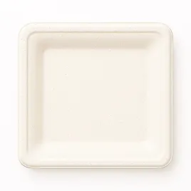talerz-kwadratowy-20cm-z-pulpy-trzcinowej-guillin-50szt