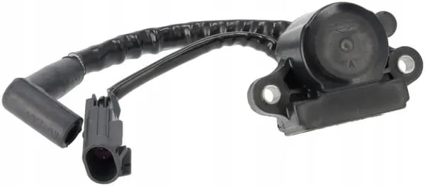 cewka-zaplonu-593856-stan-nowy